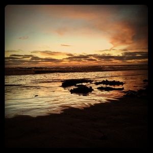 Meet your Posher, Alicia